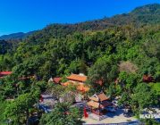 Khám phá khu rừng cổ quanh chùa Thanh Mai