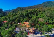 Khám phá khu rừng cổ quanh chùa Thanh Mai