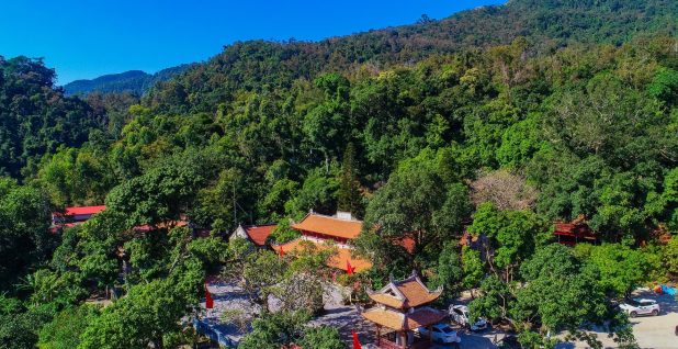 Khám phá khu rừng cổ quanh chùa Thanh Mai