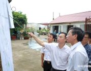 Tăng tốc thực hiện các dự án tại Cảng Hàng không quốc tế Cát Bi