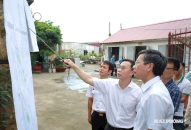 Tăng tốc thực hiện các dự án tại Cảng Hàng không quốc tế Cát Bi