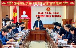 Giám sát công tác chuẩn bị bầu cử tại các phường Thủy Nguyên, Thiên Hương