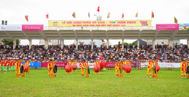 Lễ hội chọi trâu Đồ Sơn khôi phục Vòng đấu loại theo mô hình truyền thống vào ngày 8/6 âm lịch