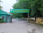 Hải Phòng đầu tư nhà máy xử lý chất thải, giải bài toán chôn lấp kéo dài