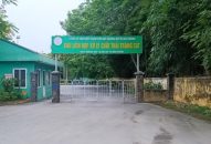 Hải Phòng đầu tư nhà máy xử lý chất thải, giải bài toán chôn lấp kéo dài