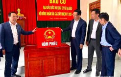 13 đồng chí Uỷ viên Ban Thường vụ Thành uỷ Hải Phòng ứng cử đại biểu HĐND thành phố