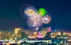 12 điểm bắn pháo hoa nổ đêm giao thừa Tết Nguyên đán Bính Ngọ 2026 tại Hải Phòng