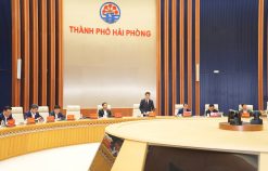 Toàn thành phố chung sức, phấn đấu hoàn thành các chỉ tiêu ngay từ những ngày đầu năm mới