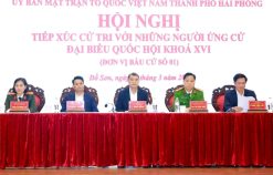 Danh sách 19 người trúng cử đại biểu Quốc hội khóa XVI tại Hải Phòng