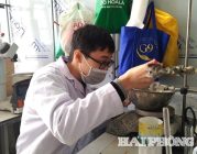 Hải Phòng quyết tâm cao tại kỳ thi chọn đội tuyển Olympic quốc tế