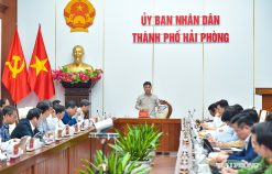 Chuẩn bị chu đáo các điều kiện để tổ chức thành công, ấn tượng Lễ hội Hoa Phượng Đỏ – Hải Phòng 2026