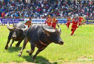 Phân cấp tổ chức, quản lý lễ hội