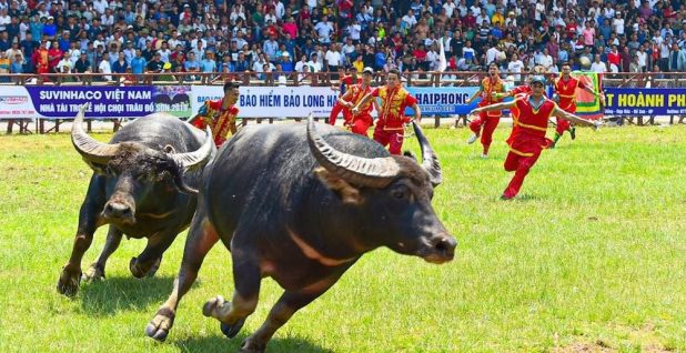 Phân cấp tổ chức, quản lý lễ hội