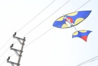 Thả diều gây sự cố mất điện, một người dân xã Tân Minh bị phạt 5 triệu đồng